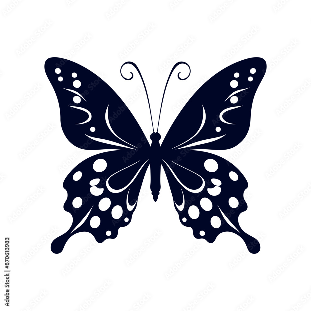 butterfly isolated on white butterfly isolated on white