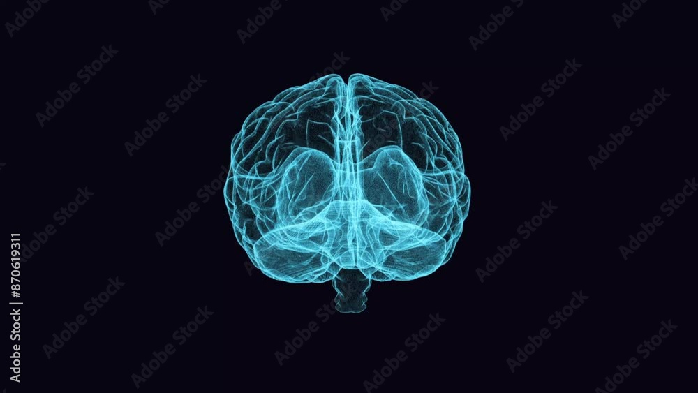3d animation graphic design of brain and brain stem in alpha background. Brain showing and spinning with mri scan in creativity model and health concept with wire frames alpha transparent background. 素材庫影片 | Adobe Stock