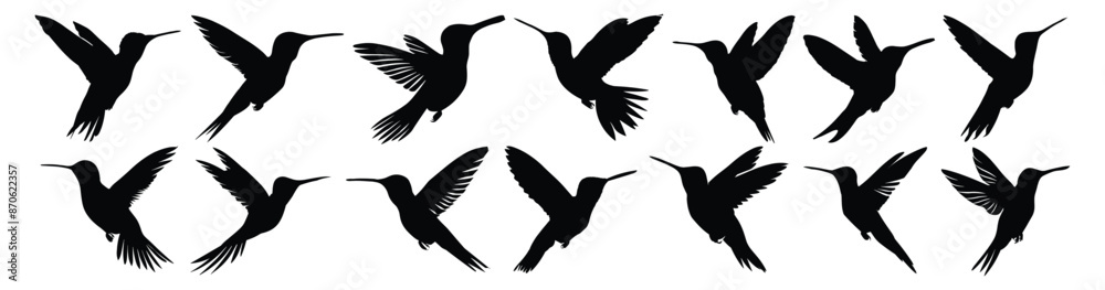 Obraz premium Hummingbird silhouette set vector design big pack of illustration and icon