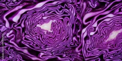 Purple Cabbage Close-Up