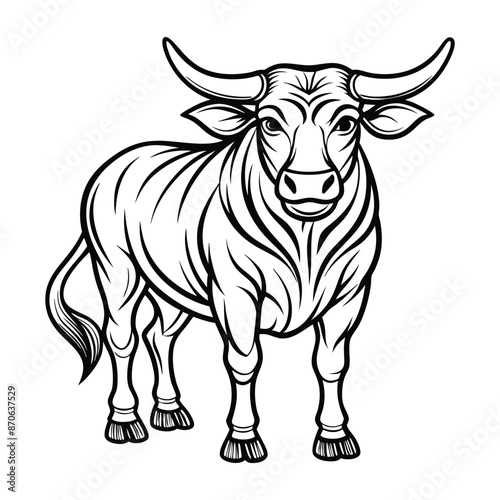 black and white cow