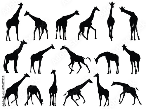 Giraffe Vector Illustration Set, Black and White Silhouettes. Collection of Different Giraffe Poses, Perfect for Logo, Design, and More.