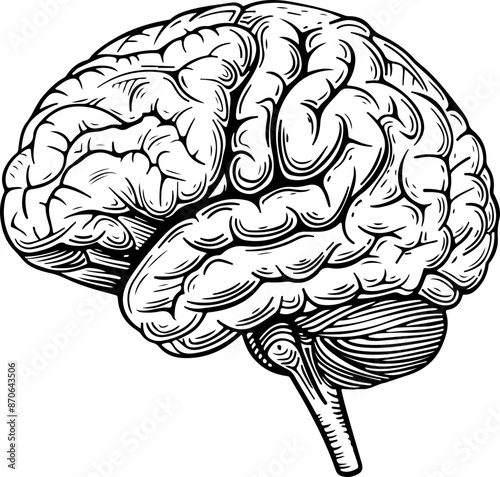 Brain drawing clipart design illustration