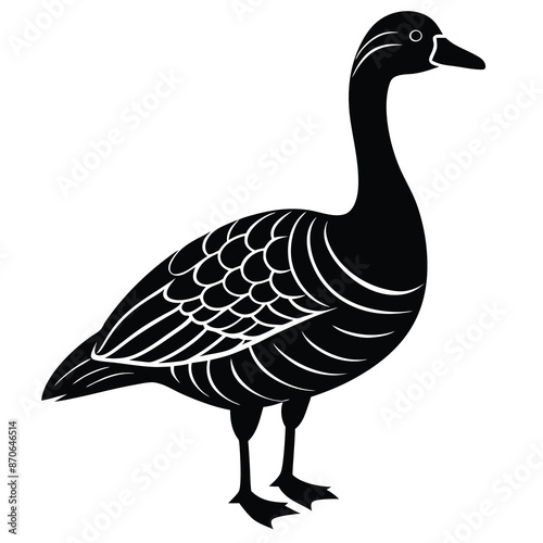 goose on white background. goose isolated on white background