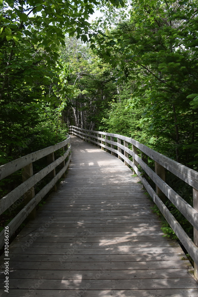 A park trail in the summer, Greenwich, Prince Edward Island, Canada A park trail in the summer, Greenwich, Prince Edward Island, Canada