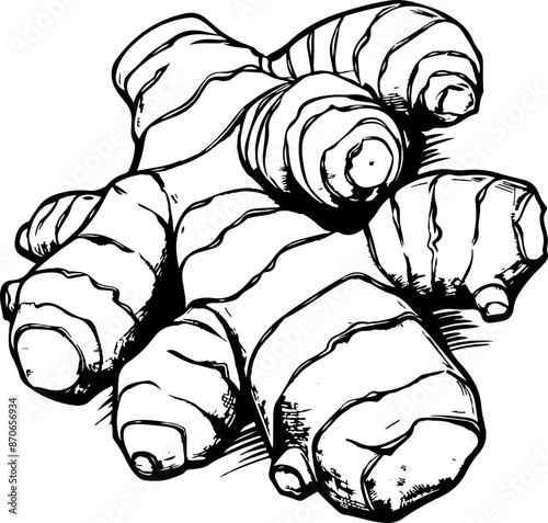 Ginger root clipart design illustration