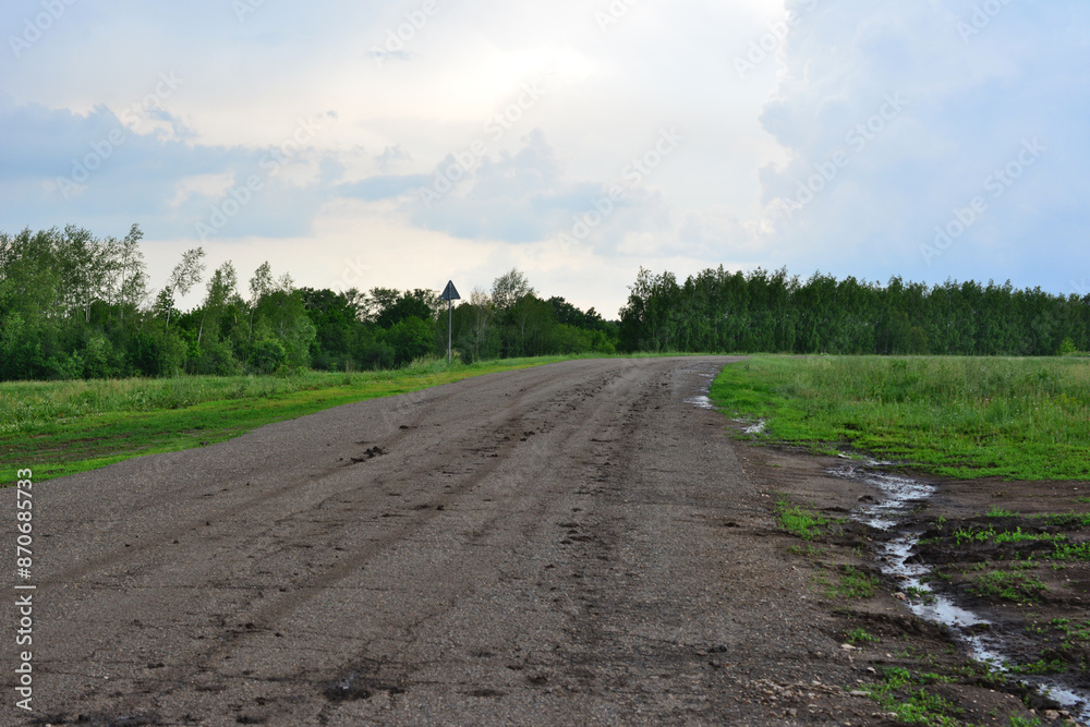 Fototapeta premium a dirt road with a forest and rainy sky on background copy space