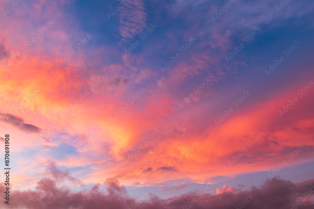 Fototapeta premium 萌え空