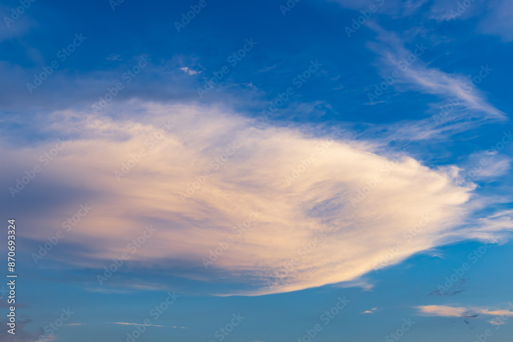 Fototapeta premium 魚のような夕雲
