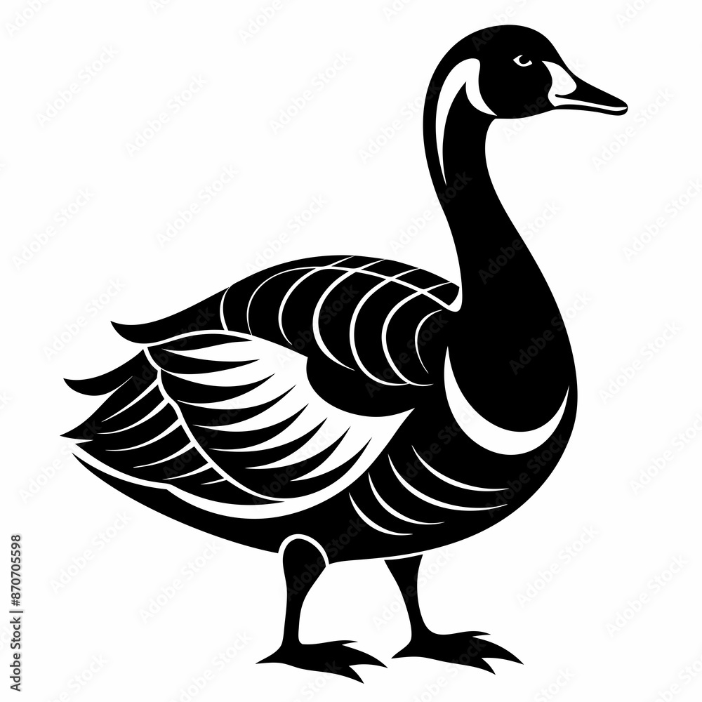 Fototapeta premium goose