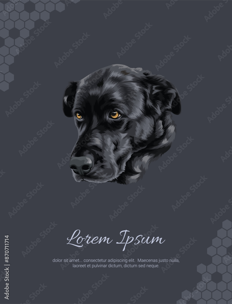 Obraz premium Vector Dog Labrador Retriever wall decor ideas