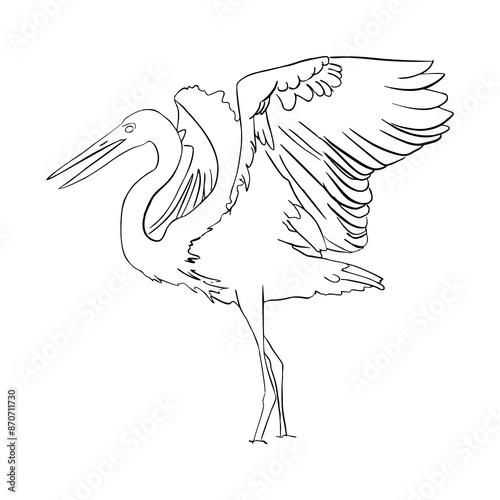 stork flaps its wings