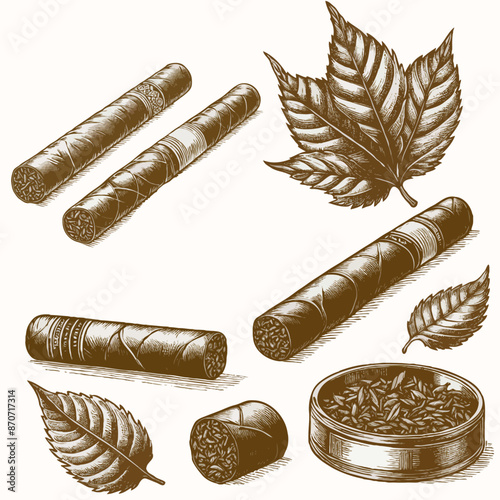 tobacco, cigar set Vector drawing vintage engraving style