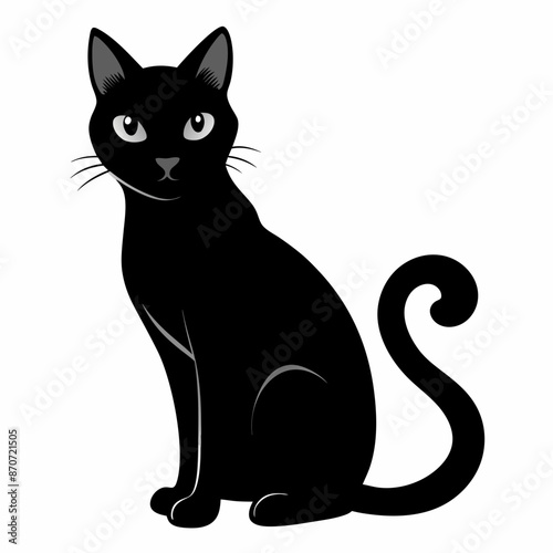 Black Cat Vector Silhouette © koushik