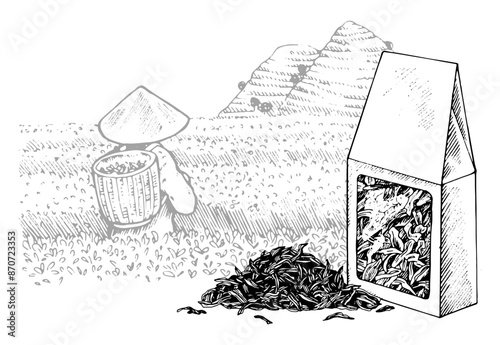 A package of Tea against a background of a plantation. Vector hand drawn outline illustration. Asian picker working in the mountains sketch drawing. Black and white art. Editable composition