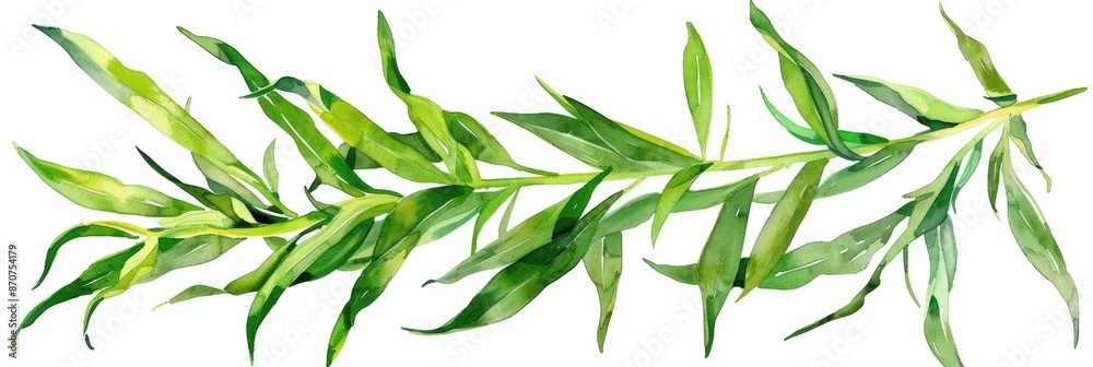Fototapeta premium Hand-Drawn Watercolor Illustration of Fresh Tarragon Herb Sprig on White Background