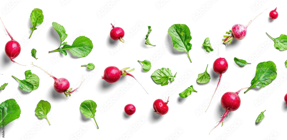 Fresh Radishes and Leaves on Transparent Background