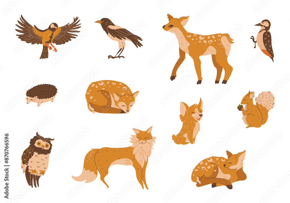 set animals forest birds set animals forest birds