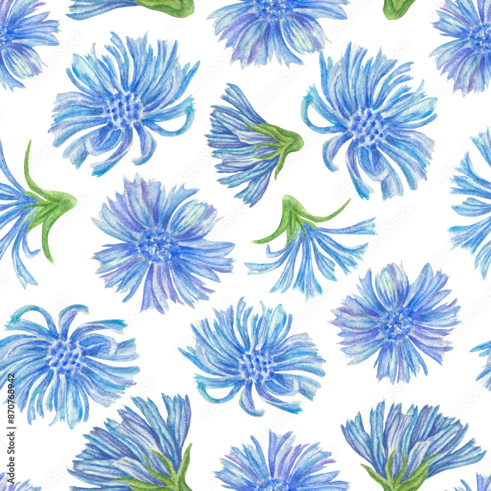 Fototapeta premium Watercolor botanical pattern with large chicory flowers. Blue meadow flowers on a white background. Seamless print for fabrics, wallpapers, clothes, packaging and backgrounds