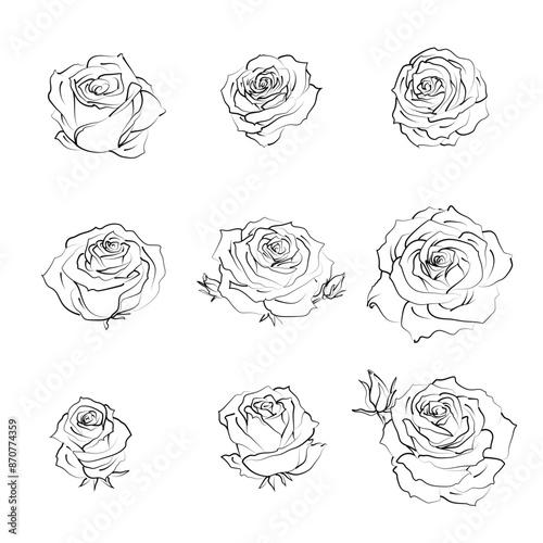 Set of hand-drawn roses isolated, vector sketch. Monochrome outline flowers. Black and white botanical collection