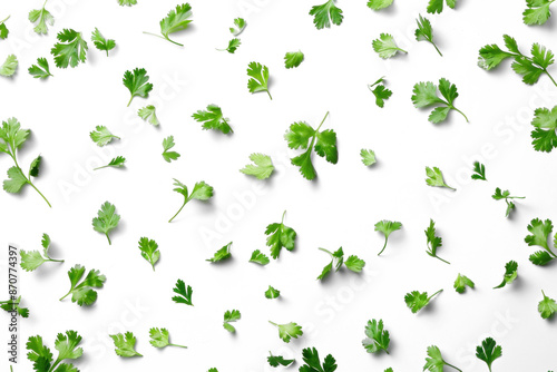 Fresh Cilantro Leaves on Transparent Background