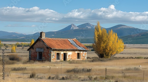 A lonely house in the middle of nowhere
