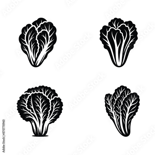 Set of Fresh Napa Cabbage Silhouettes - High Quality Vector Illustrations for Digital Design Projects, Menus, Recipes, and Food Branding - Perfect for Web and Print Use
