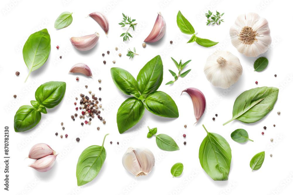 Fresh Herbs and Garlic on Transparent Background