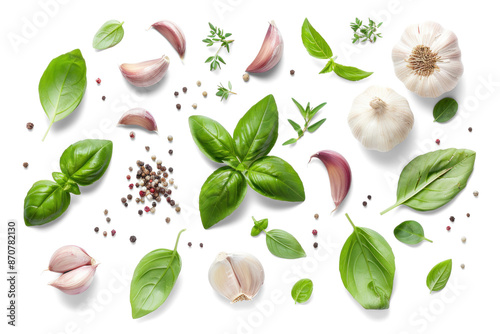 Obraz na płótnie Fresh Herbs and Garlic on Transparent Background w salonie