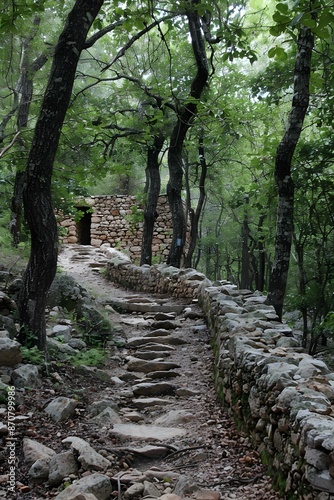 Stone hut in the middle of a lush forest photo