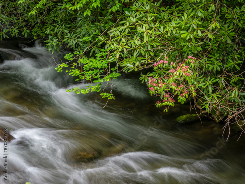 Oconaluftee River along the Newfound Gap Road in the Great Smoky Mountains National Park in North Carolina USA photo