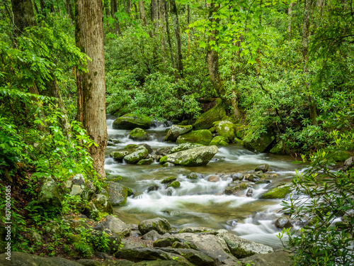 Roaring Fork  stream on the Roaring Fork Motor Nature Trail in  Great Smokey Mountains  National Park in Tennessee, USA