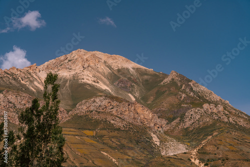 A mountain with a tree on it