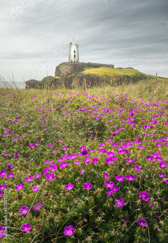 Ynys Llanddwyn Island North Wales photo