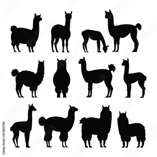 Alpaca Silhouette, Alpaca animal vector illustration