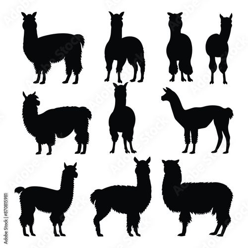 Alpaca Silhouette, Alpaca animal vector illustration