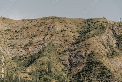 A mountain with a rocky terrain and a few trees