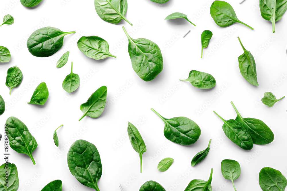 Fresh Spinach Leaves on Transparent Background Fresh Spinach Leaves on Transparent Background
