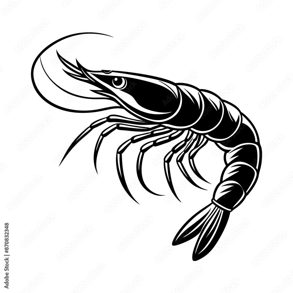 Shrimp vector Shrimp vector