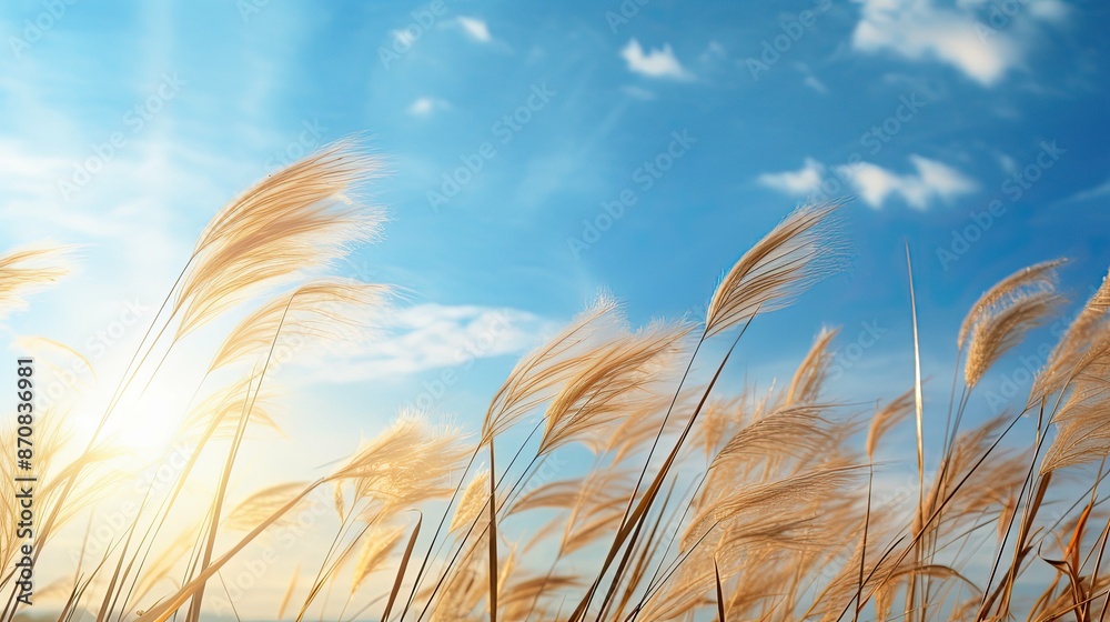 Obraz premium clouds light blue sky background