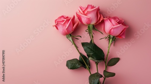 Mockup of a Valentine s and Mother s Day greeting card with pink roses on pink background minimalistic design