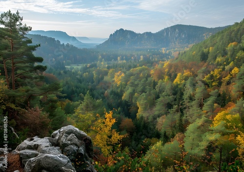 An autumn forest with a large rock in the foreground photo