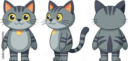Cartoon gray cat character design in front, side, and back views