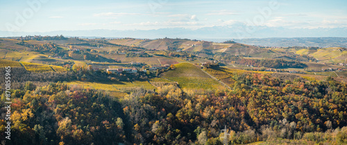 Italian landscape with vineyards