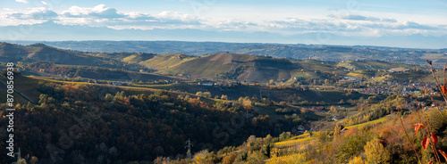 Italian landscape with vineyards