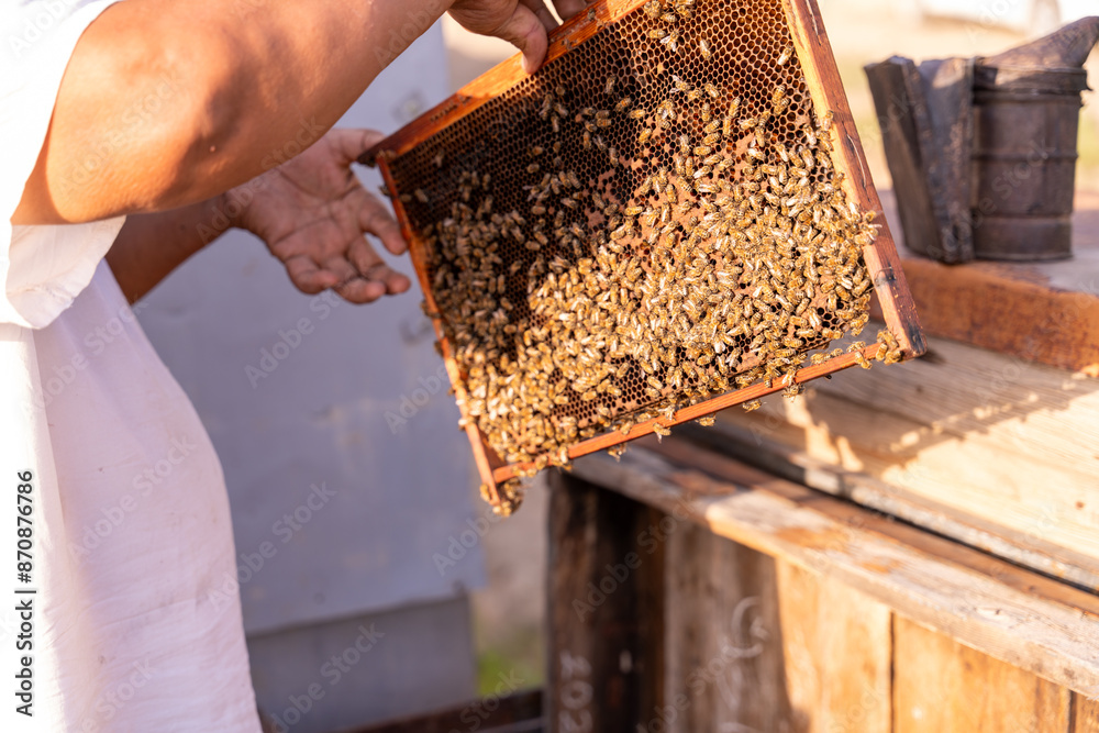 A person is holding a honeycomb with bees on it A person is holding a honeycomb with bees on it