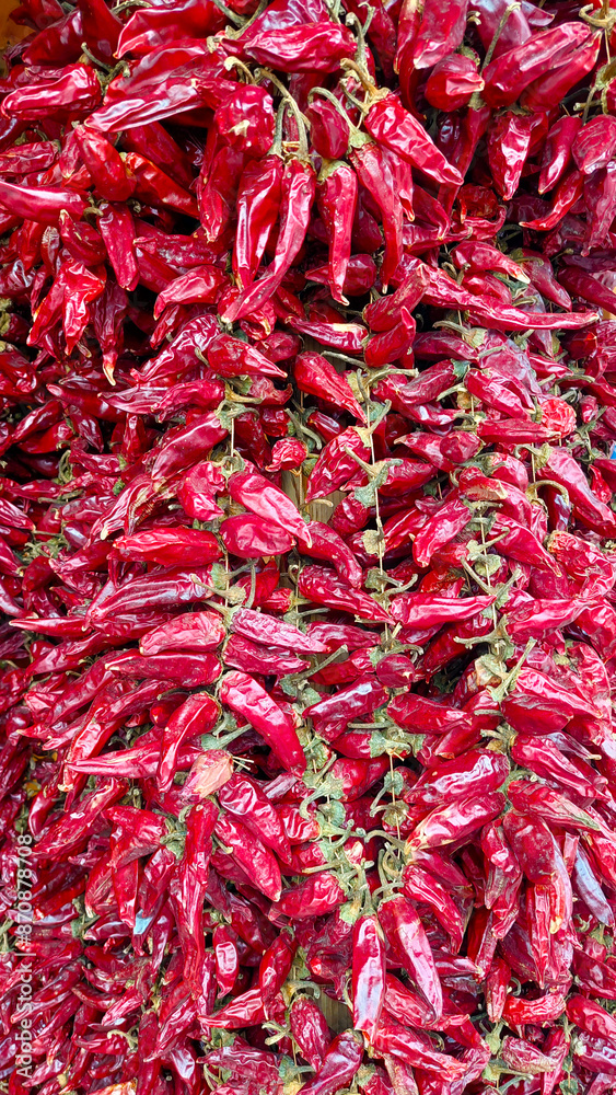 Fototapeta premium Bundles of shiny red hot chili peppers are hanging and drying in the sun to preserve them for later use