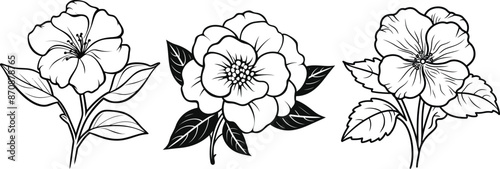 A bundle of begonia flower line art vector illustrations set isolated on transparent background. Modern minimalist design for logo, tattoo, wall art, poster, packaging, and stickers. Black ink sketch.