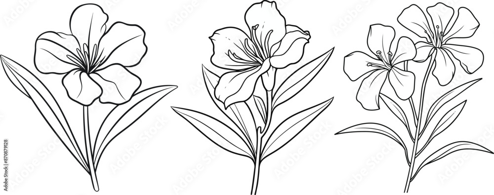 Fototapeta premium A collection of freesia flower line art vector illustrations set isolated on transparent background. Modern minimalist design for logo, tattoo, wall art, poster, packaging, stickers. Black ink sketch.
