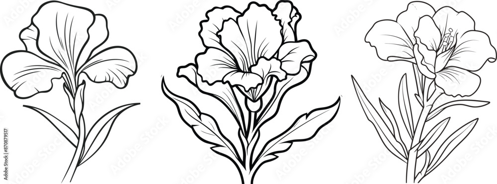 Fototapeta premium A bundle of snapdragon flower line art vector illustrations set isolated on transparent background. Modern minimalist design for logo, tattoo, wall art, poster, packaging, stickers. Black ink sketch.